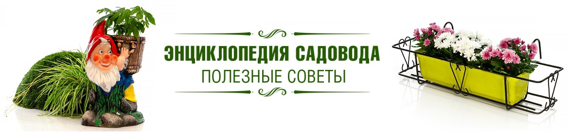Энциклопедия садовода